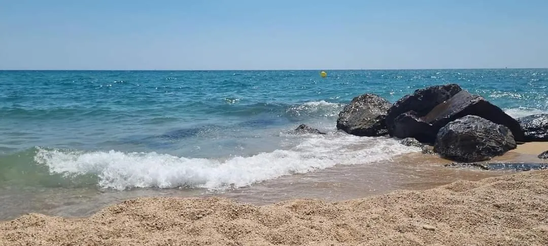 Campsite Camping El Pinar Platja Santa Susanna
